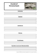 Warzenschwein-Steckbriefvorlage.pdf